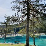 Apartment Stenna Selva An Toplage Flims