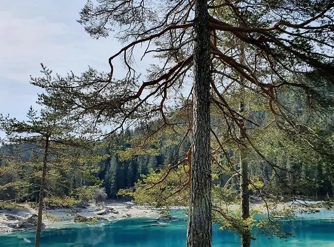 Appartement Stenna Selva An Toplage Flims