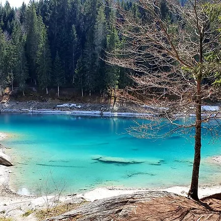 Stenna Selva An Toplage * Flims